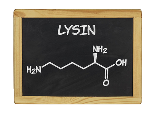 L-Lysin HCl 99 %