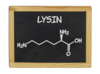 L-Lysin HCl 99 %