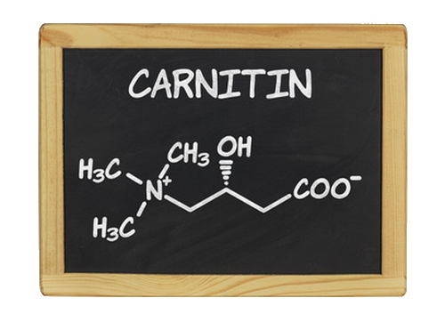 L-Carnitin - Pulver