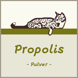 Propolis Pulver