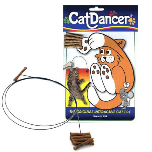 Cat Dancer