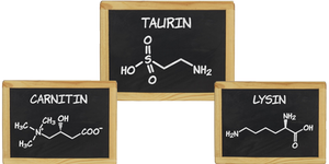 Taurin / L-Lysin / L-Carnitin